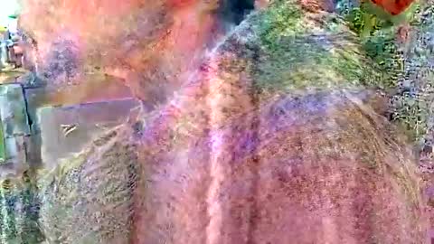 Steve... aka SkinnieDippin aka TimberTramp online show from 2, 4, 2026