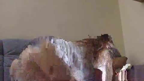 Snapshot of brutecia chatting on 16, 9, 2025 brutecia online show from 16, 9, 2025