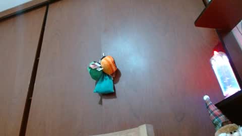 Enjoy the best muscle straws   online show from 11, 2, 2025