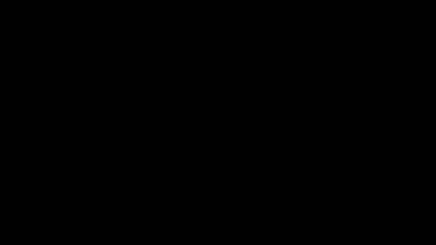 BryN online show from 8, 12, 2024