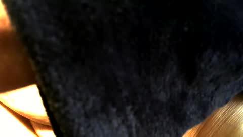 Snapshot of buck_shot chatting on 15, 3, 2026 Buck online show from 15, 3, 2026