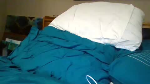 Bud42o online show from 11, 12, 2024