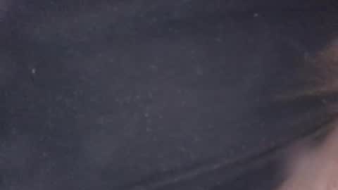 buddyluvzumore online show from 19, 10, 2025