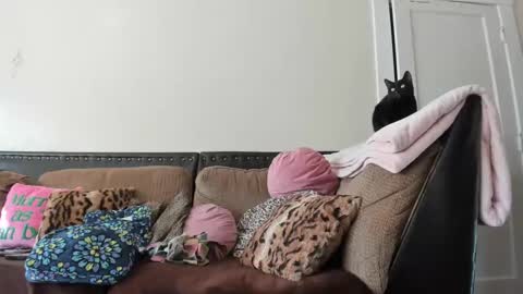 Buffy online show from 2, 12, 2024