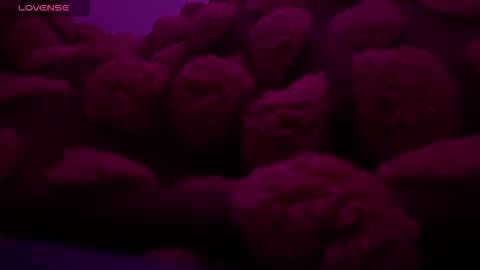 Snapshot of bukkakebae chatting on 15, 11, 2025 bukkakebae online show from 15, 11, 2025