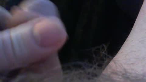 bullemoe online show from 23, 2, 2026