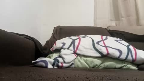 bullspain27266272 online show from 10, 2, 2026