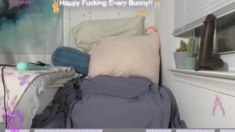 Snapshot of bunnycheekz chatting on 4, 12, 2024 Tokki  bunny  online show from 4, 12, 2024