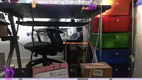 Snapshot of bunnycheekz chatting on 9, 12, 2024 Tokki  bunny  online show from 9, 12, 2024