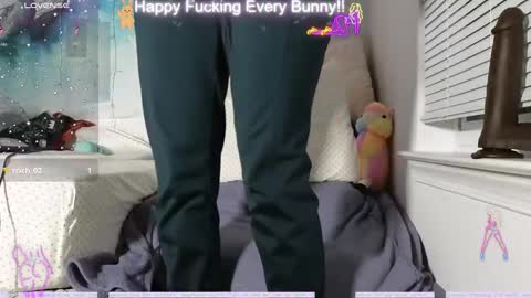 Snapshot of bunnycheekz chatting on 12, 12, 2024 Tokki  bunny  online show from 12, 12, 2024