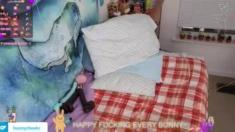 Tokki  bunny  online show from 21, 11, 2025