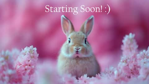 Snapshot of bunnydollstella chatting on 11, 5, 2026 Stella online show from 11, 5, 2026