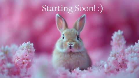 Snapshot of bunnydollstella chatting on 20, 5, 2026 Stella online show from 20, 5, 2026
