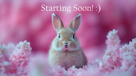 Snapshot of bunnydollstella chatting on 5, 6, 2026 Stella online show from 5, 6, 2026