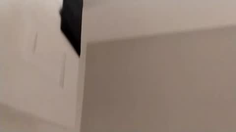 Snapshot of bunnyxpurry chatting on 15, 11, 2025 BunnyXPurry online show from 15, 11, 2025