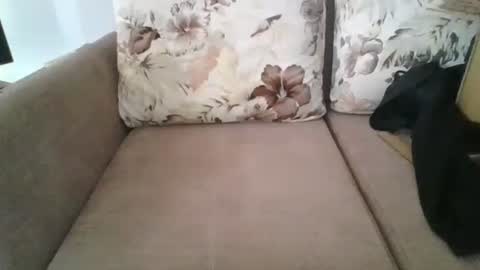 Snapshot of burak20x chatting on 30, 10, 2025 burak20x online show from 30, 10, 2025