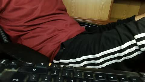 Hairy Arabian online show from 8, 9, 2025