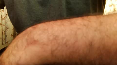 Hairy Arabian online show from 22, 2, 2026