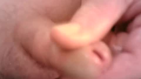 Hamish online show from 8, 9, 2025