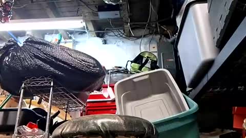 bushdoctor1 online show from 10, 9, 2025