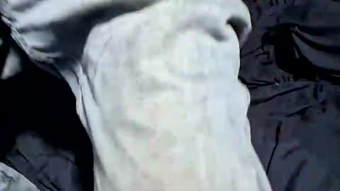 Snapshot of buster18hymen chatting on 21, 10, 2025 Buster18Hymen online show from 21, 10, 2025