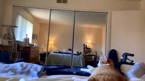 busty_2008 online show from 20, 3, 2026