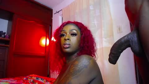 butterfly_rouse online show from 20, 11, 2025