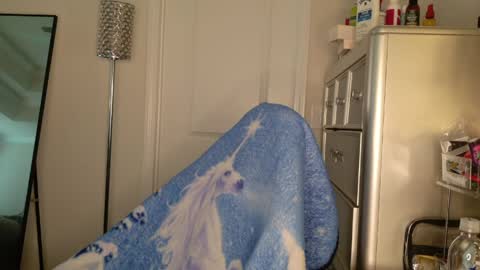 butterfly booty online show from 30, 3, 2026