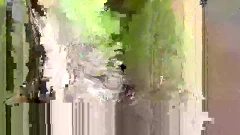 bxbomber2012 online show from 24, 4, 2026