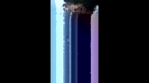 bydsknox online show from 4, 3, 2026