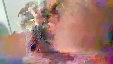 Teddy online show from 17, 12, 2024