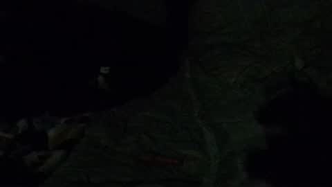 Calisguitar online show from 29, 12, 2024