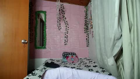 Snapshot of callme_lolas chatting on 4, 2, 2026 paula online show from 4, 2, 2026