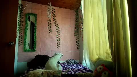 Snapshot of callme_lolas chatting on 25, 3, 2026 paula online show from 25, 3, 2026