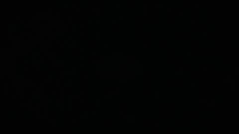 Charly online show from 17, 3, 2026