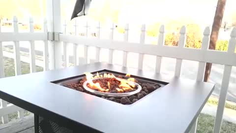 Snapshot of camaro383ci1994 chatting on 25, 12, 2024 Chillaxin lets talk online show from 25, 12, 2024