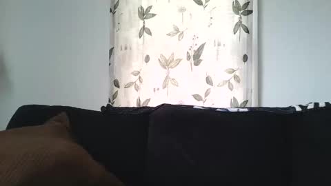 Snapshot of camaro383ci1994 chatting on 21, 1, 2025 Chillaxin lets talk online show from 21, 1, 2025