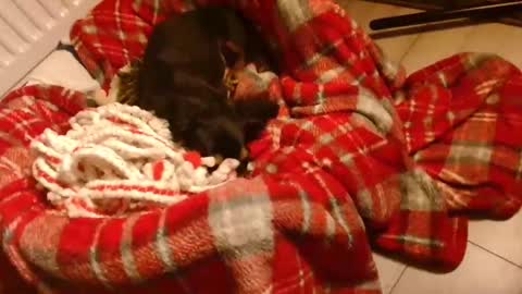 Snapshot of camdoattitude chatting on 28, 1, 2025 CamDoAttitude online show from 28, 1, 2025