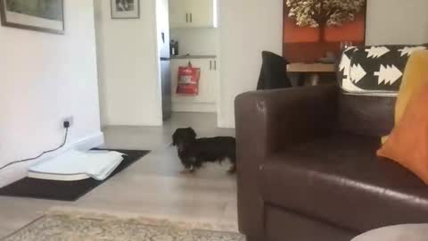 Snapshot of camdoattitude chatting on 23, 9, 2025 CamDoAttitude online show from 23, 9, 2025