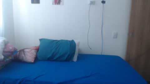 Snapshot of camila_rouswhyth chatting on 5, 12, 2025 camila_rouswhyth online show from 5, 12, 2025