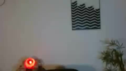 Snapshot of camilaparrisx chatting on 24, 6, 2026 camilaparrisx online show from 24, 6, 2026