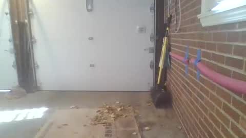 cammyman6900 online show from 13, 11, 2025