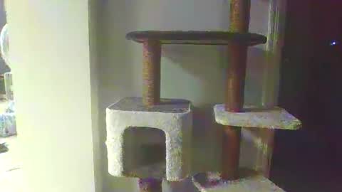 cammyman6900 online show from 20, 11, 2025