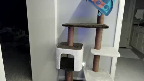 cammyman6900 online show from 21, 3, 2026