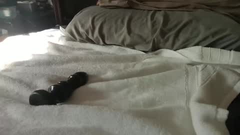 Snapshot of canadianboy88 chatting on 27, 1, 2025 CanadianBoy88 online show from 27, 1, 2025