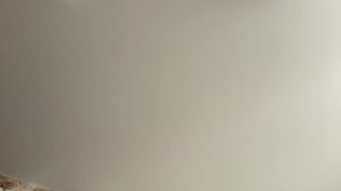 Mari online show from 31, 7, 2026