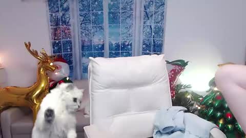 Snapshot of candy8998 chatting on 16, 12, 2024 candy8998 online show from 16, 12, 2024