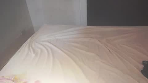 Candy online show from 16, 11, 2025