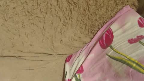 say meow and send tips  online show from 5, 12, 2024