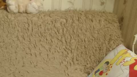 say meow and send tips  online show from 19, 1, 2025